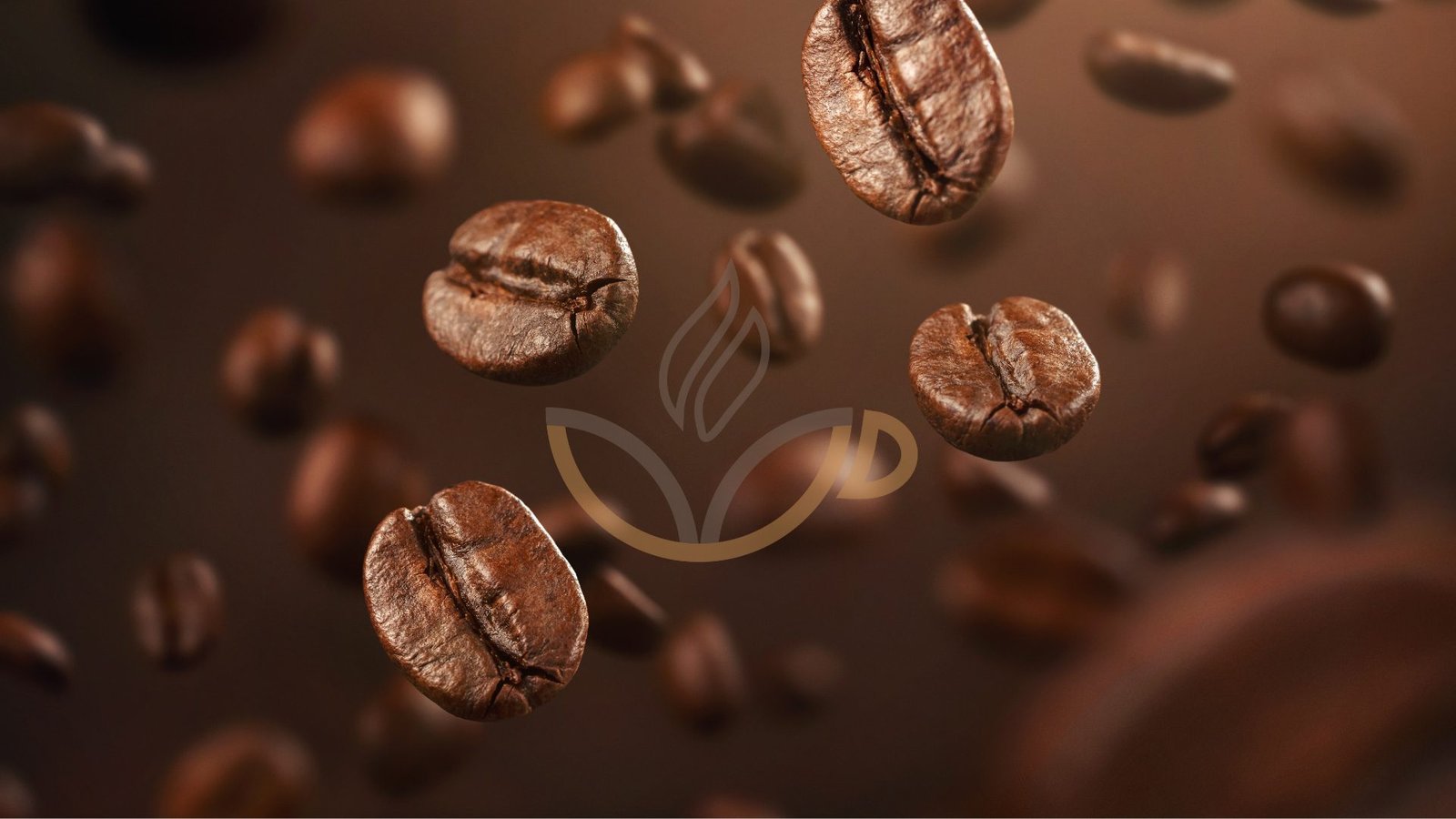 Conheça a COMANZE: A Alma do Café Especial do Sul de Minas